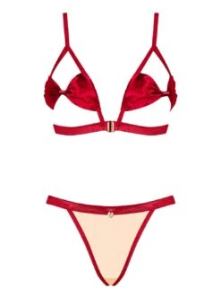 Obsessive Ensemble Lingerie Sexy Rouge 2 Pièces -Mode de luxe 30988