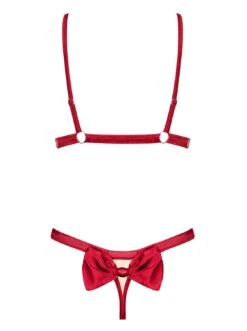 Obsessive Ensemble Lingerie Sexy Rouge 2 Pièces -Mode de luxe 30989
