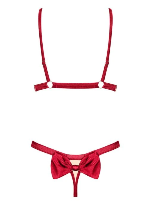 Obsessive Ensemble Lingerie Sexy Rouge 2 Pièces – Image 6