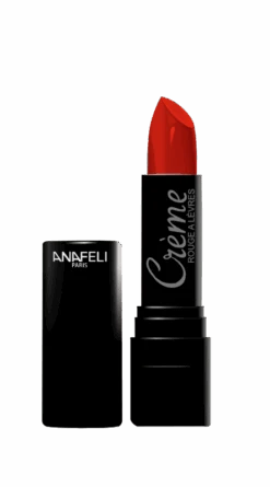 Rouge à Lèvres Rouge Grenat